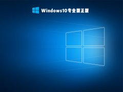 Win10专业版正版 V2022