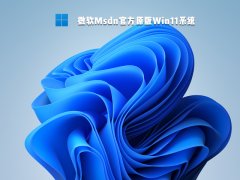 微软Msdn官方原版Win11系统 V2021