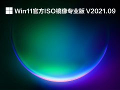 Win11官方ISO镜像专业版 V2021.09