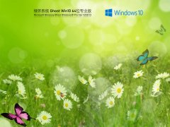 绿茶系统 Ghost Win10 64位 安全装机版 V2021.12
