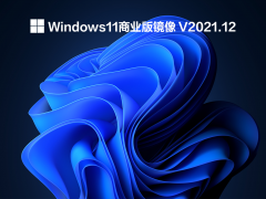 Windows11商业版镜像 V2021.12