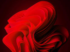 Windows11 官方正式版镜像 V2022.07