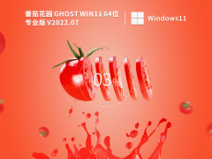 番茄花园 Ghost Win11 64位 专业免费版 V2022.07