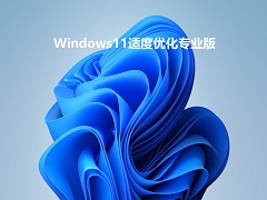 Windows11适度优化专业版 V2022.07