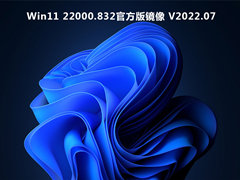 Win11 22000.832官方版镜像 V2022.07