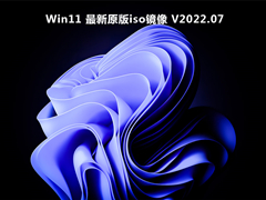 Win11最新原版iso镜像 V2022.07