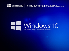 Win10 2004 64位最新正式版 V2022.11