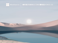 微软官方Win11 22H2最新版 V2022.11