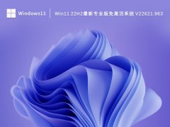 Win11 22h2最新专业版系统 V22621.963