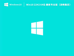 Win10 22H2 64位 最新专业版（流畅稳定）V2023.06