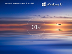 Win10 22H2 64位 官方专业版镜像