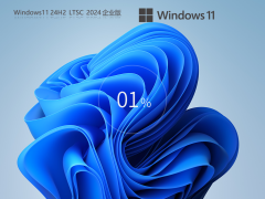 【5年支持】Windows11 24H2 LTSC 2024 纯净企业版