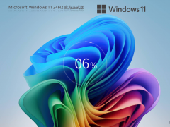 Windows11 24H2 26100 64位 专业版