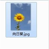 如何用画图工具制作圆形的头像    用画图工具制作圆形的头像的教程