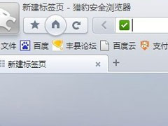 猎豹浏览器如何看历史记录？猎豹浏览器查看历史记录的方法