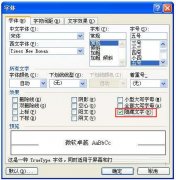word打印中“隐藏文字”功能的使用方法