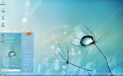 蒲公英的约定win7精美主题