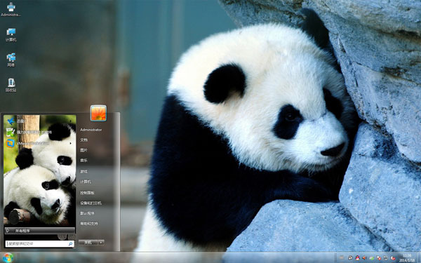 国宝熊猫win7可爱电脑桌面
