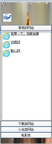浏览器去哪儿 v1.0 中文绿色版