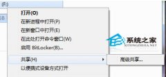 U盘设置高级共享的操作方法