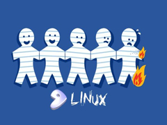 Linux软件如何安装及管理指南