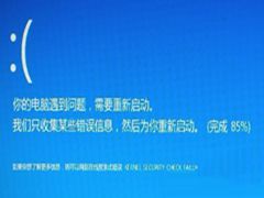 Win8.1蓝屏提示KERNEL SESURTY CHECK FAILURE错误的修复方法