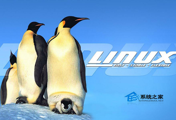 Linux vsftp中提示530 Permission denied怎么办?