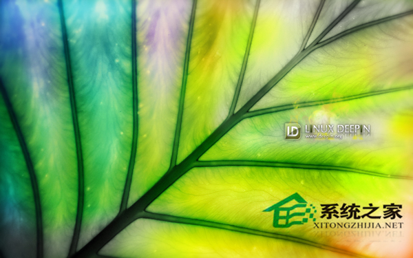  如何使用chown命令改变Linux文件的所有者