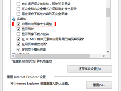 Win10让IE自动调整图像大小的方法