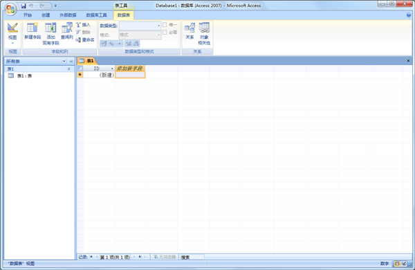 Microsoft Office Access 2007 绿色破解版