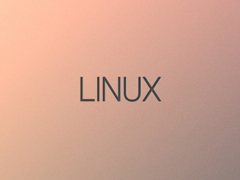 Linux系统下如何制作Live USB？