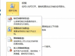Word文档加密的操作方法 Word2010文档怎么加密？