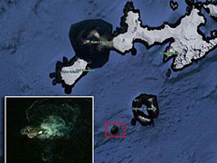 透过Google Earth在南极洲海域发现巨型生物