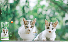 清新可爱的小奶猫Win7主题