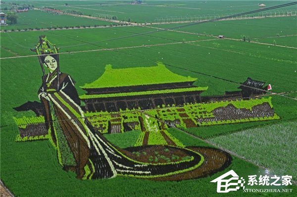 巨幅稻田画《大闹天宫》亮相，画面震撼