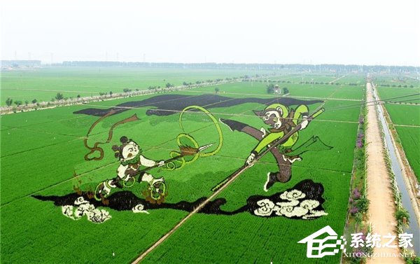 巨幅稻田画《大闹天宫》亮相，画面震撼