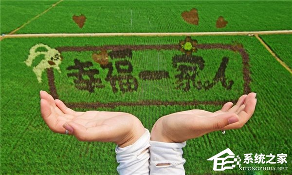 巨幅稻田画《大闹天宫》亮相，画面震撼