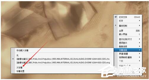 srt是什么文件?怎么使用srt文件