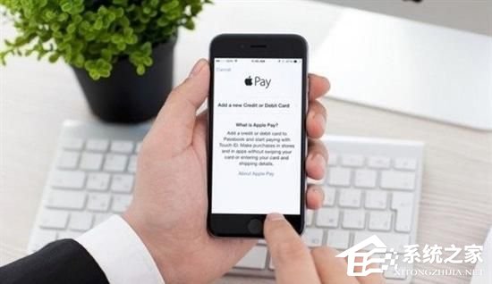 网购使用移动支付成主流 Apple Pay更加受欢迎