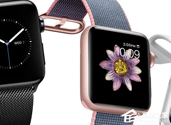 Apple Watch以33.5%的市场占有率高居榜首
