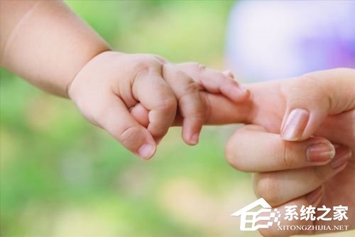 订购爸爸App新鲜出炉 挑选“孩他爸”