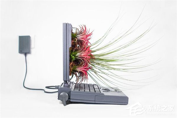 可曾想过，淘汰的Mac依然很美