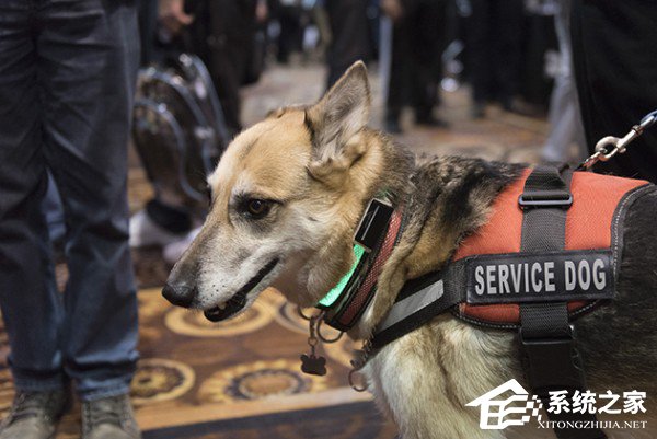 CES 2017第一天：最有趣的15款科技新品