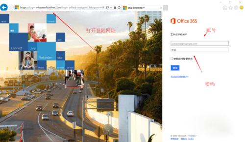 Office365