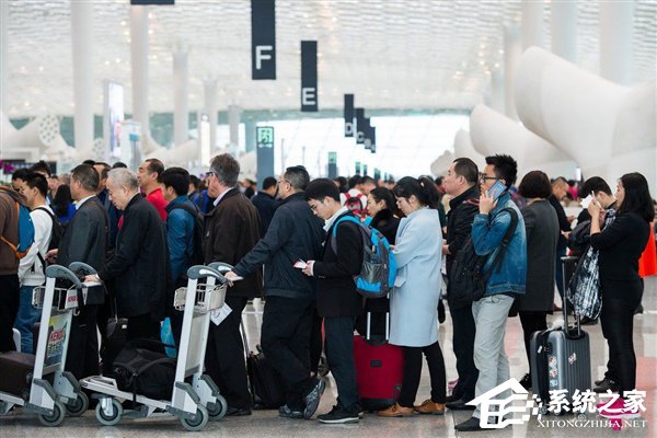 赔付率居高不下？微信、支付宝悄然下架航班延误险