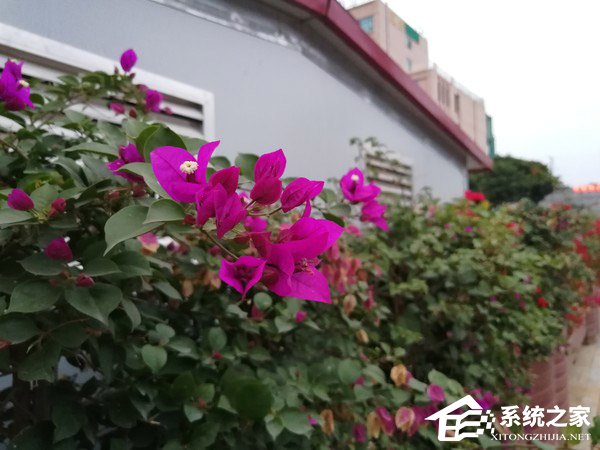 华为nova 2s值得买吗？HUAWEI nova 2s深度评测