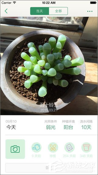 识花软件哪个好？2018识花APP推荐