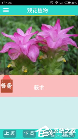 识花软件哪个好？2018识花APP推荐