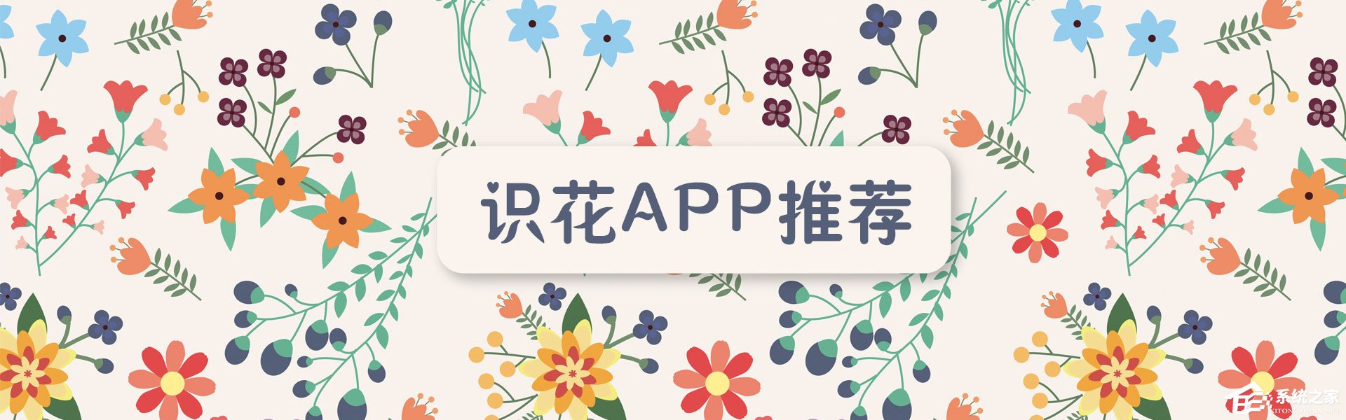 识花软件哪个好？2018识花APP推荐
