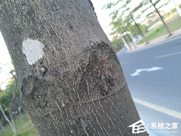 魅蓝S6好不好？魅蓝S6全面评测